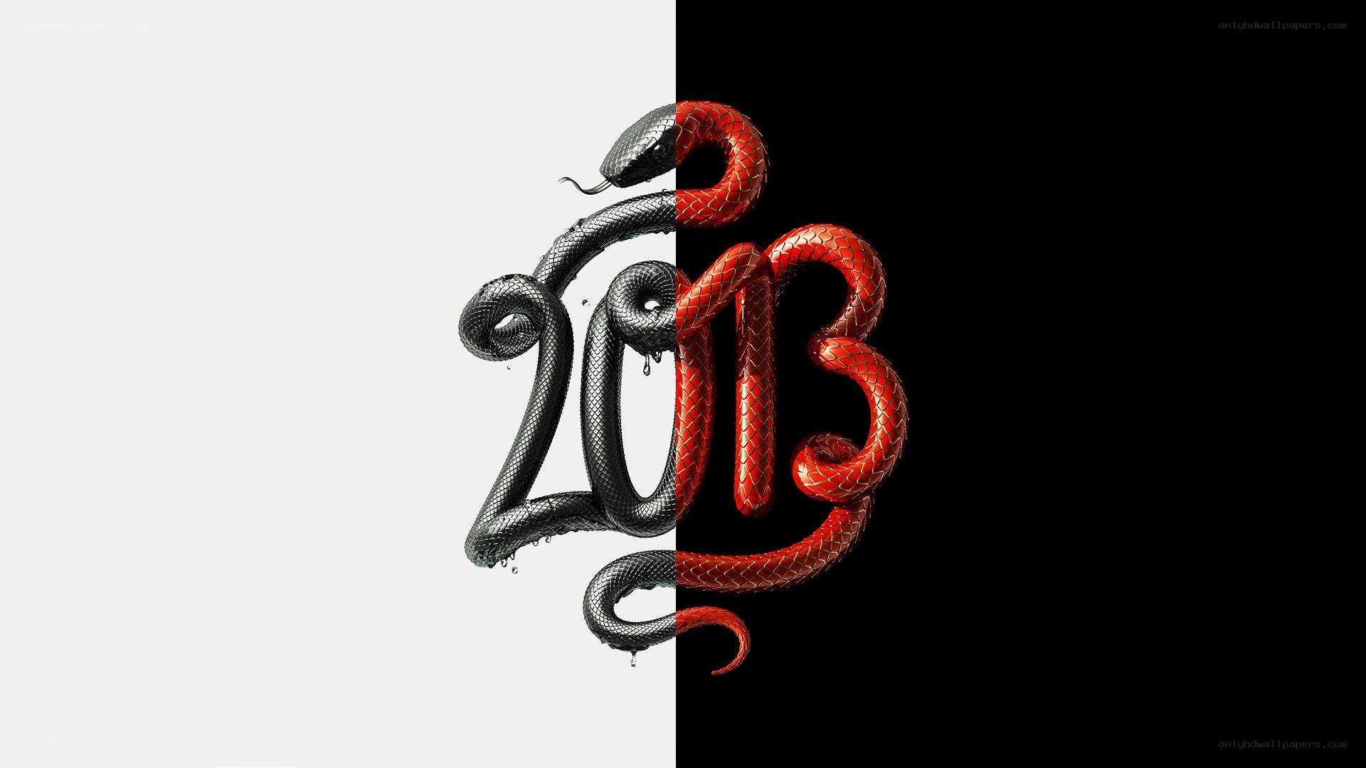 2013 snake design