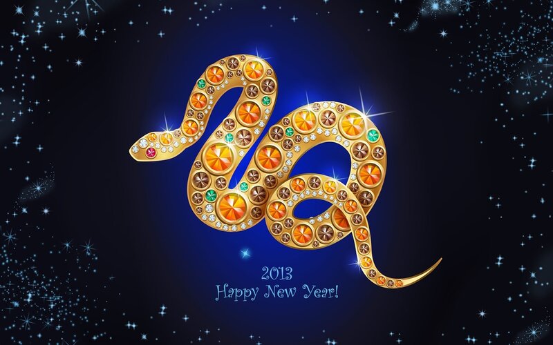 2013 Year of the Snake