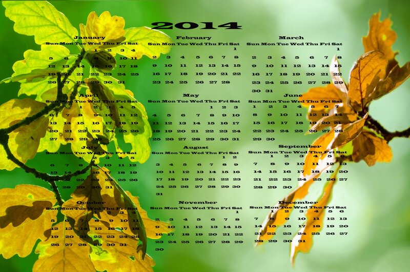 2014 Calendar with Leaves