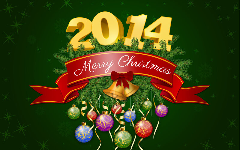 2014 Christmas Decoration