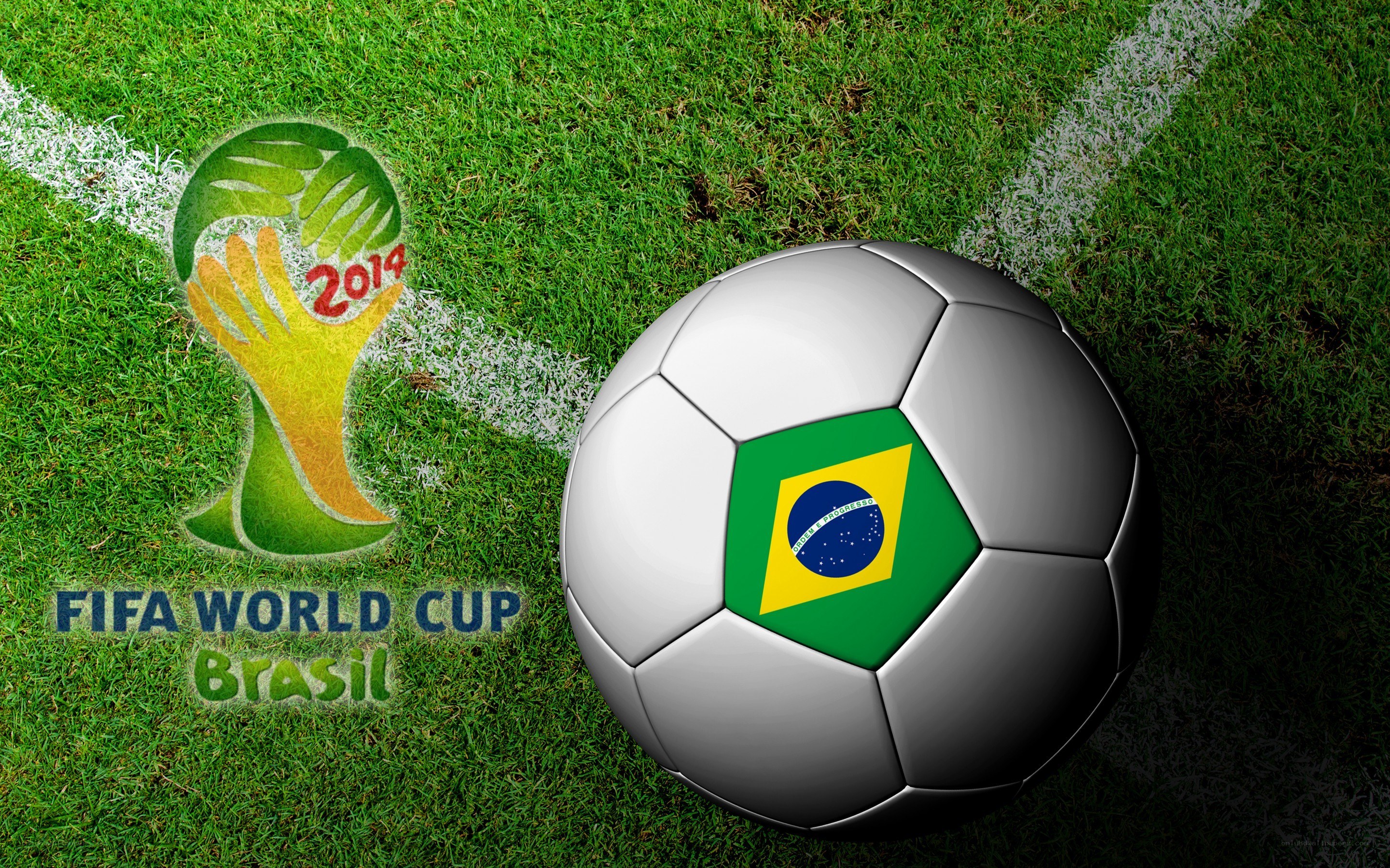 2014 FIFA World Cup Brazil
