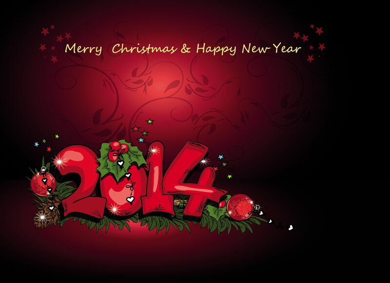 2014 Holiday Decoration