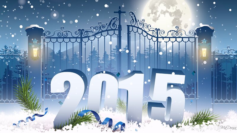 2015 Numbers in Snow