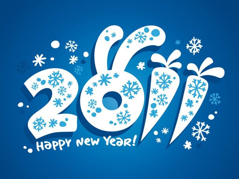 2017 New Year Design