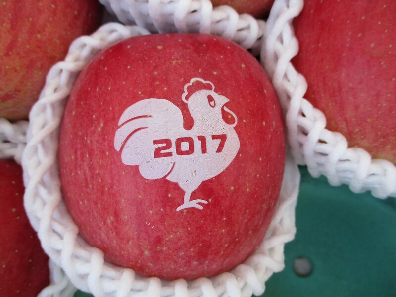 2017 rooster apple