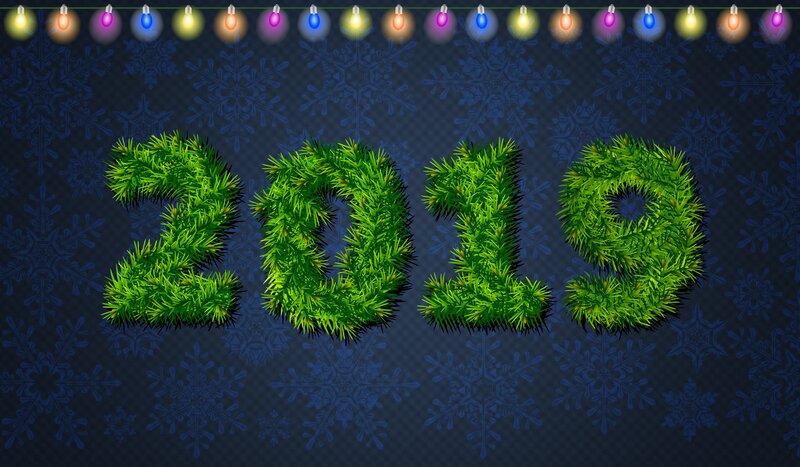 2019 in Pine Needles