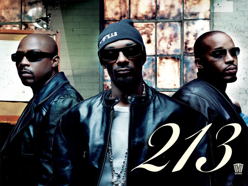 213 album cover