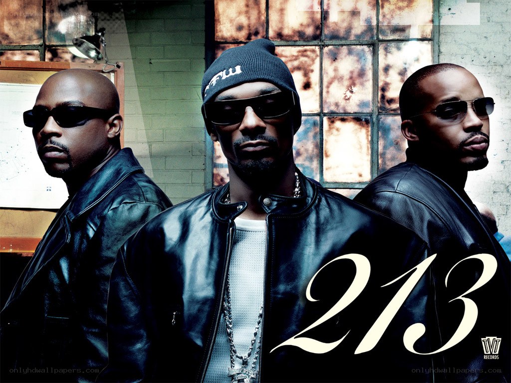 213 album cover