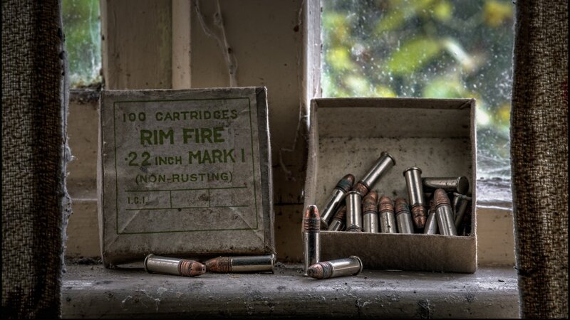 .22 Caliber Bullets