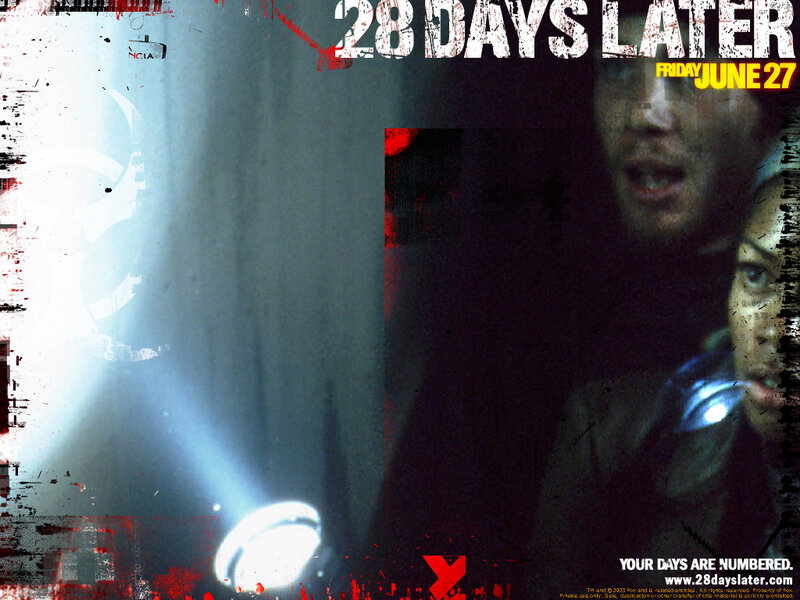 28 Days Later movie poster