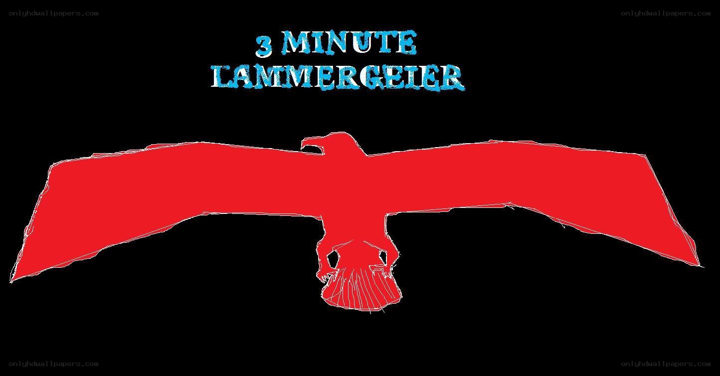 3 Minute Lammergeier