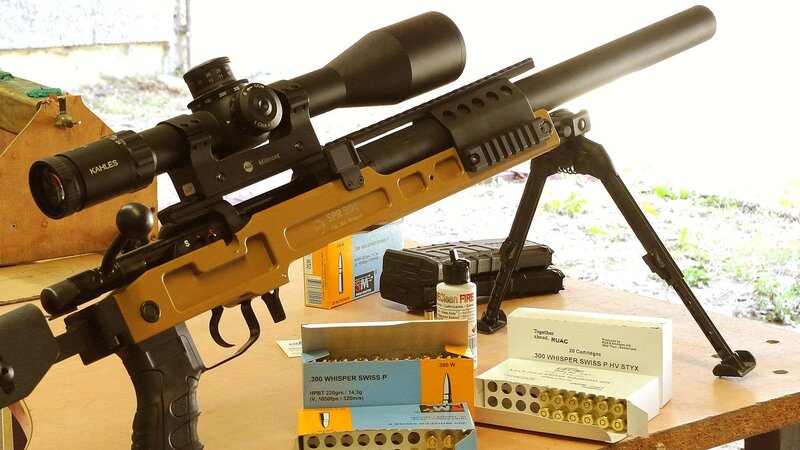 .300 Whisper Rifle
