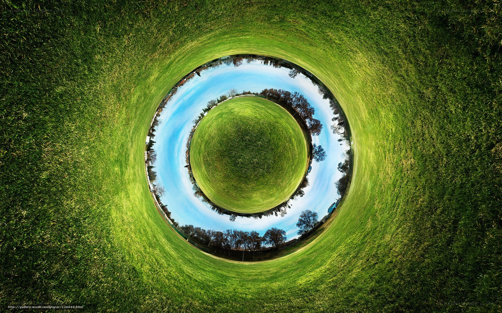 360-degree grass field view