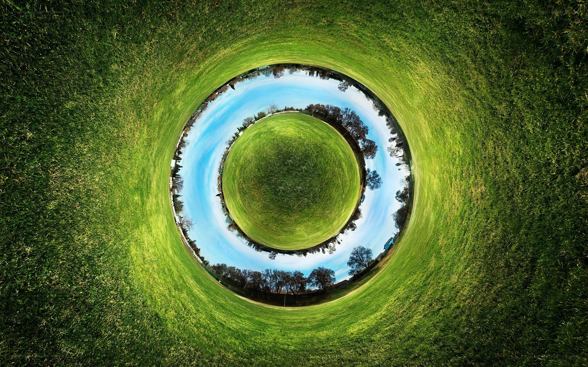 360-degree grass sphere