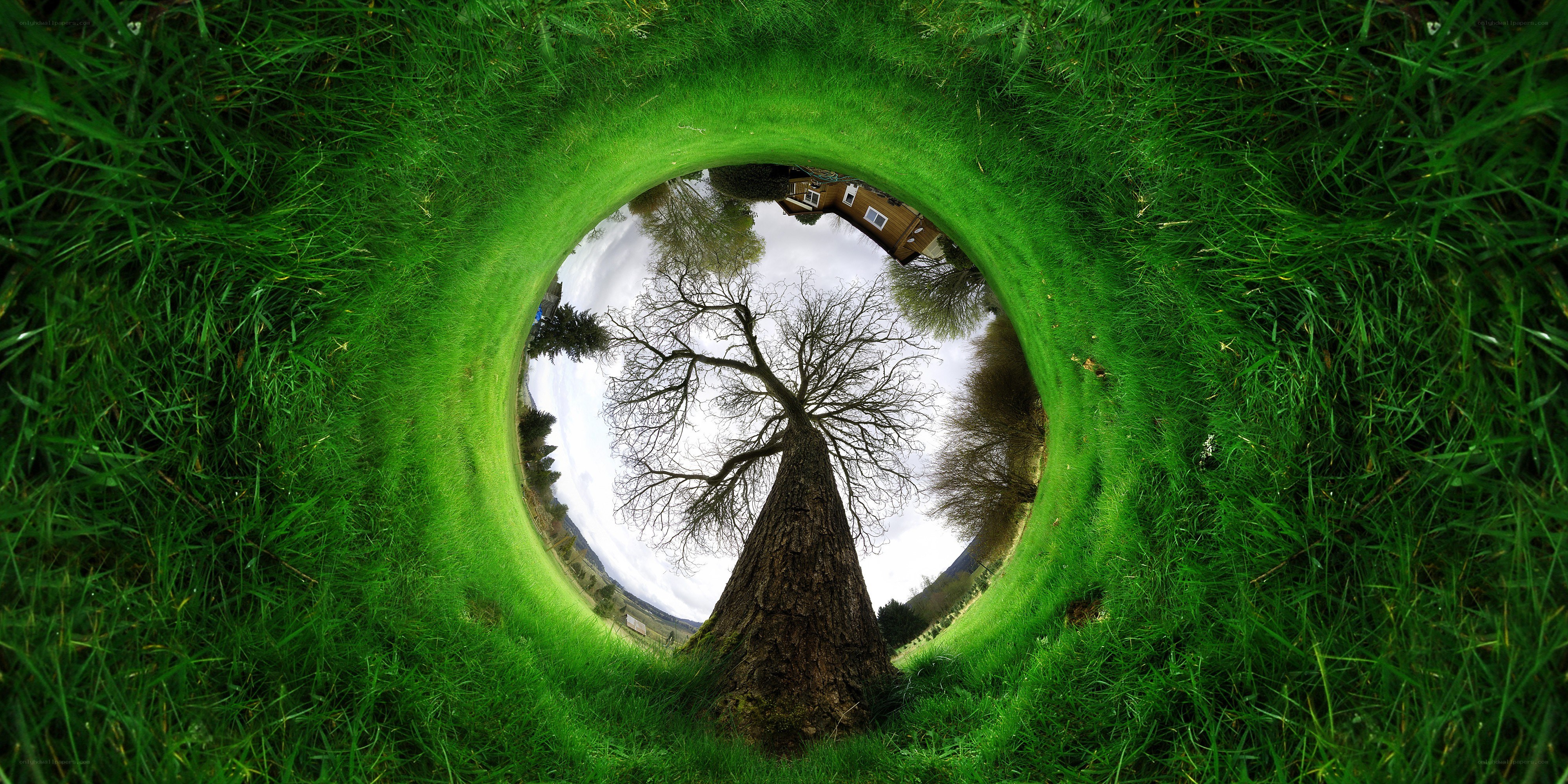 360-degree grass tunnel view