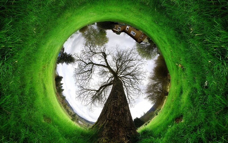360-degree grass tunnel view