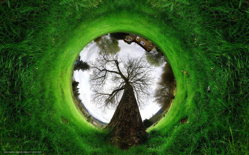 360-degree grass tunnel view