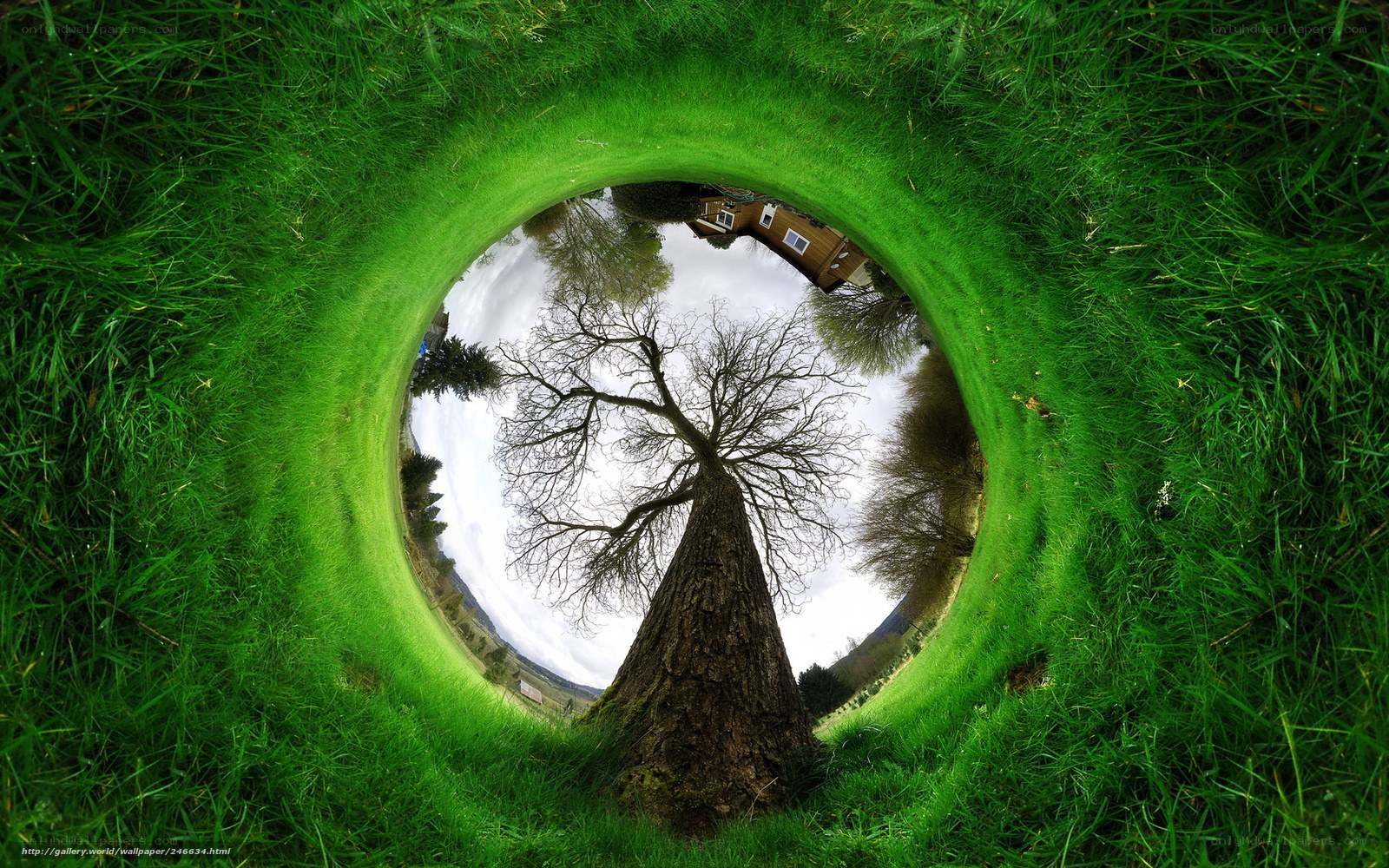 360-degree grass tunnel view
