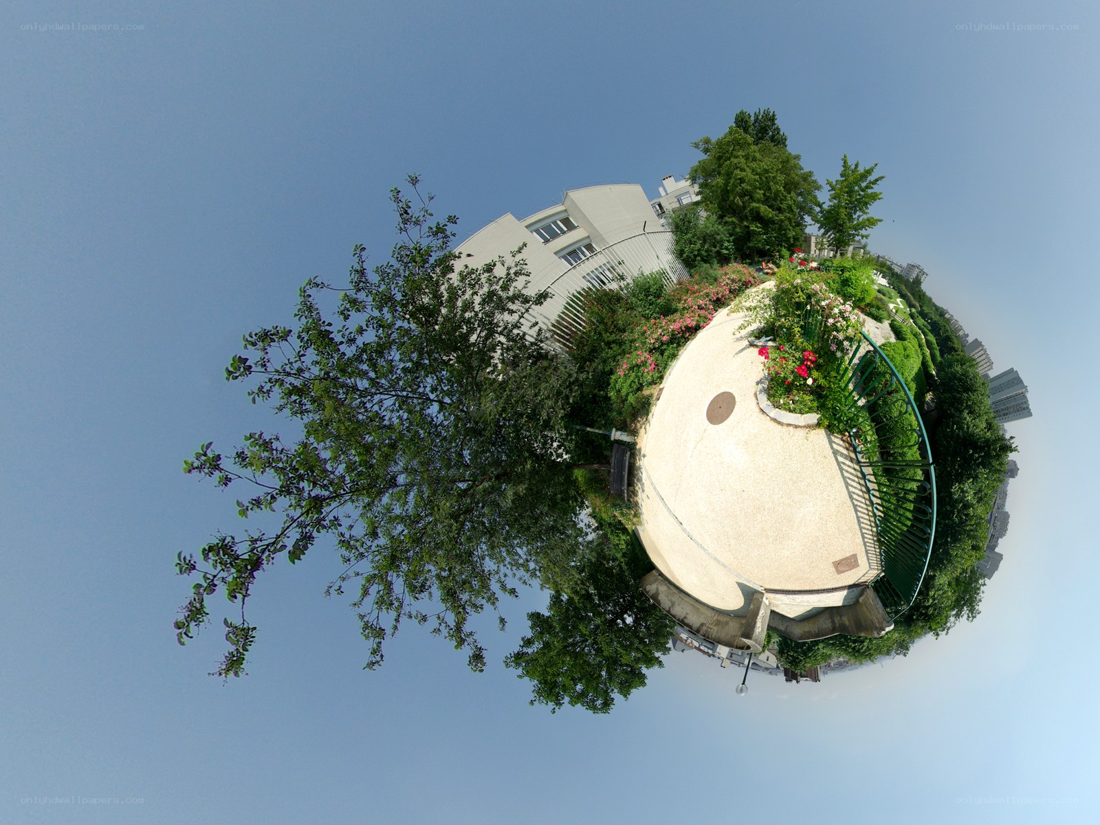 360-degree park scene