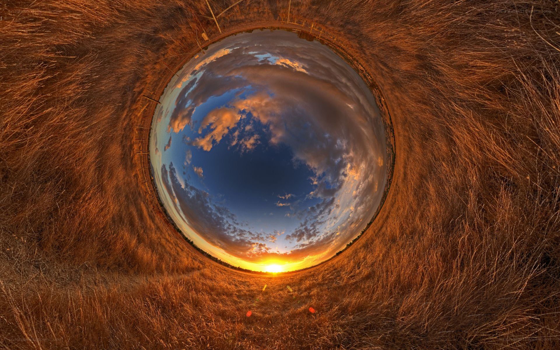 360-degree sunset over grassland