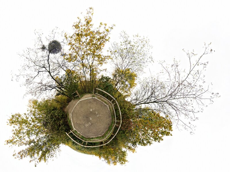 360-degree tree view