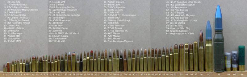 .38 Caliber Bullet