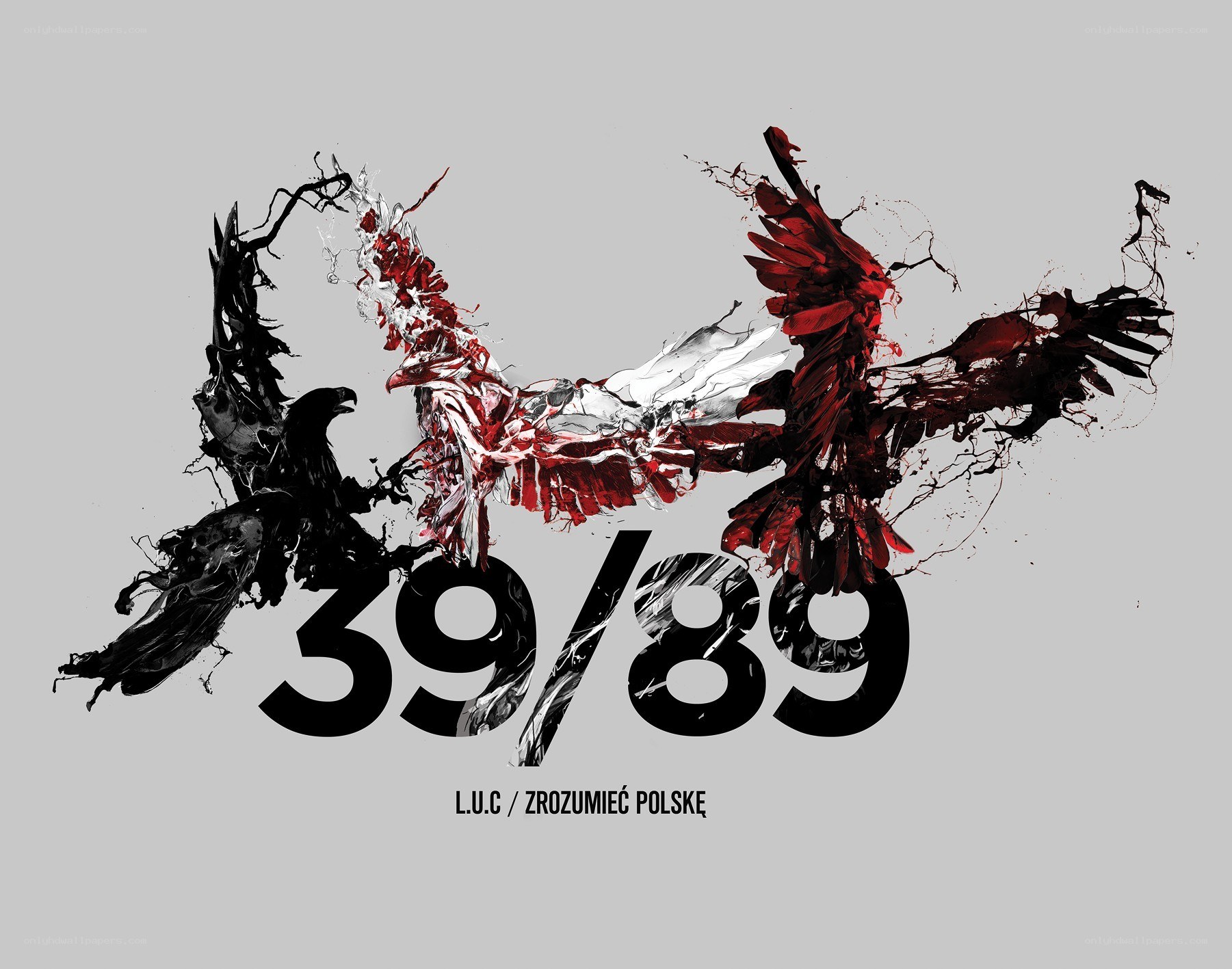 39/89 album cover