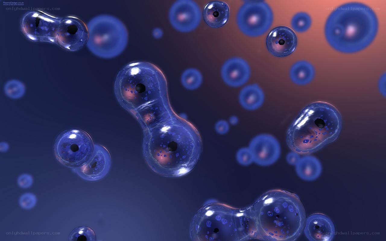 3D cell division illustration