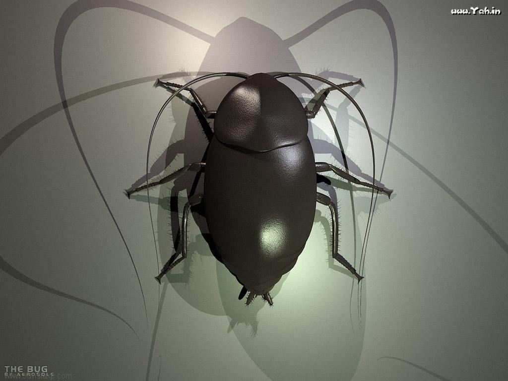 3D cockroach model
