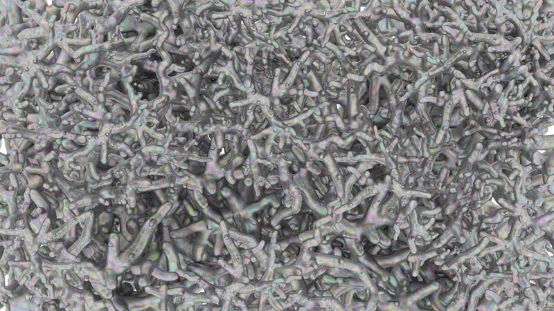 3d Coral-like Structure — Gray