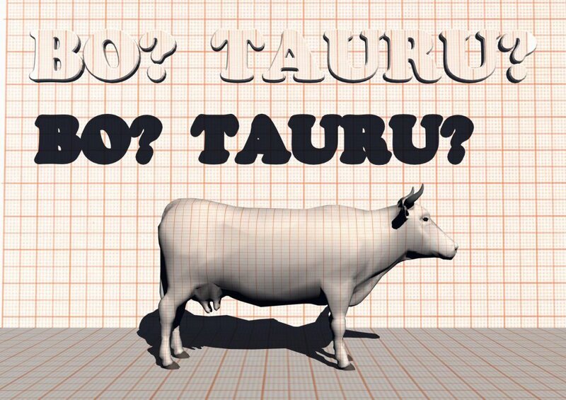 3D cow model with text