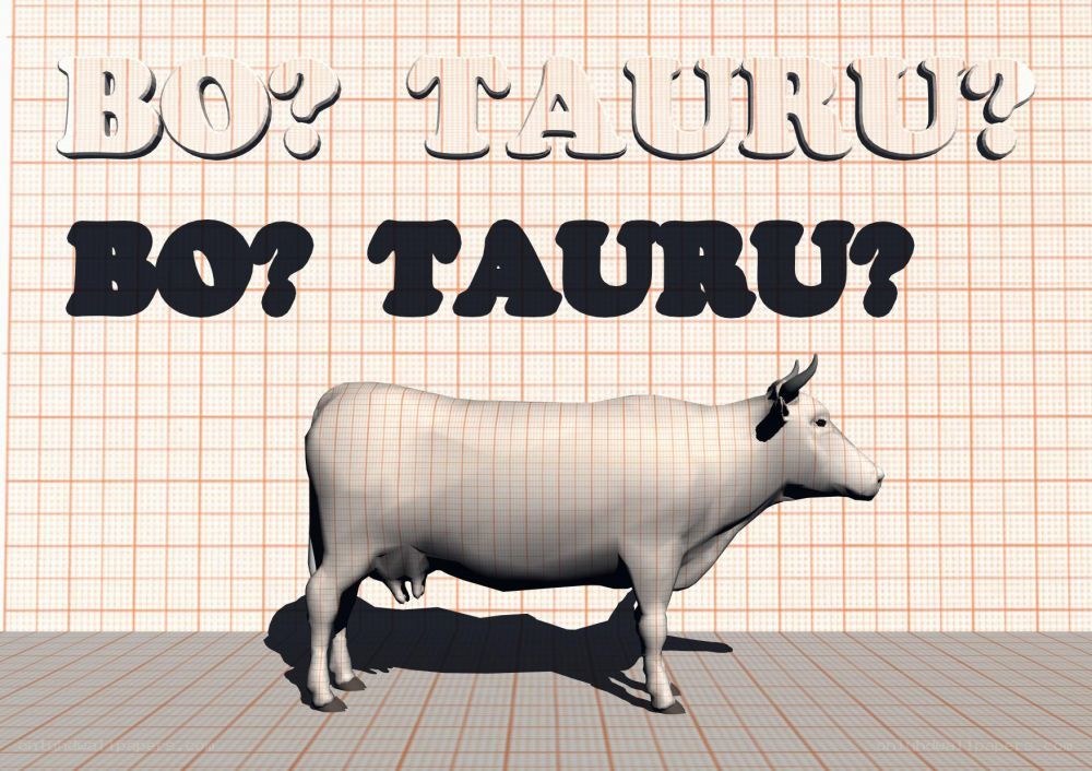 3D cow model with text