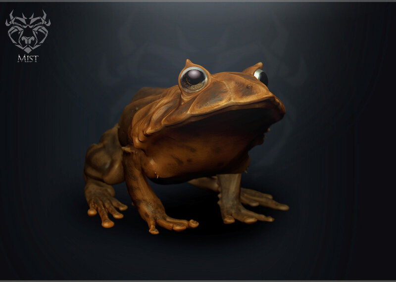 3D frog model in dark setting