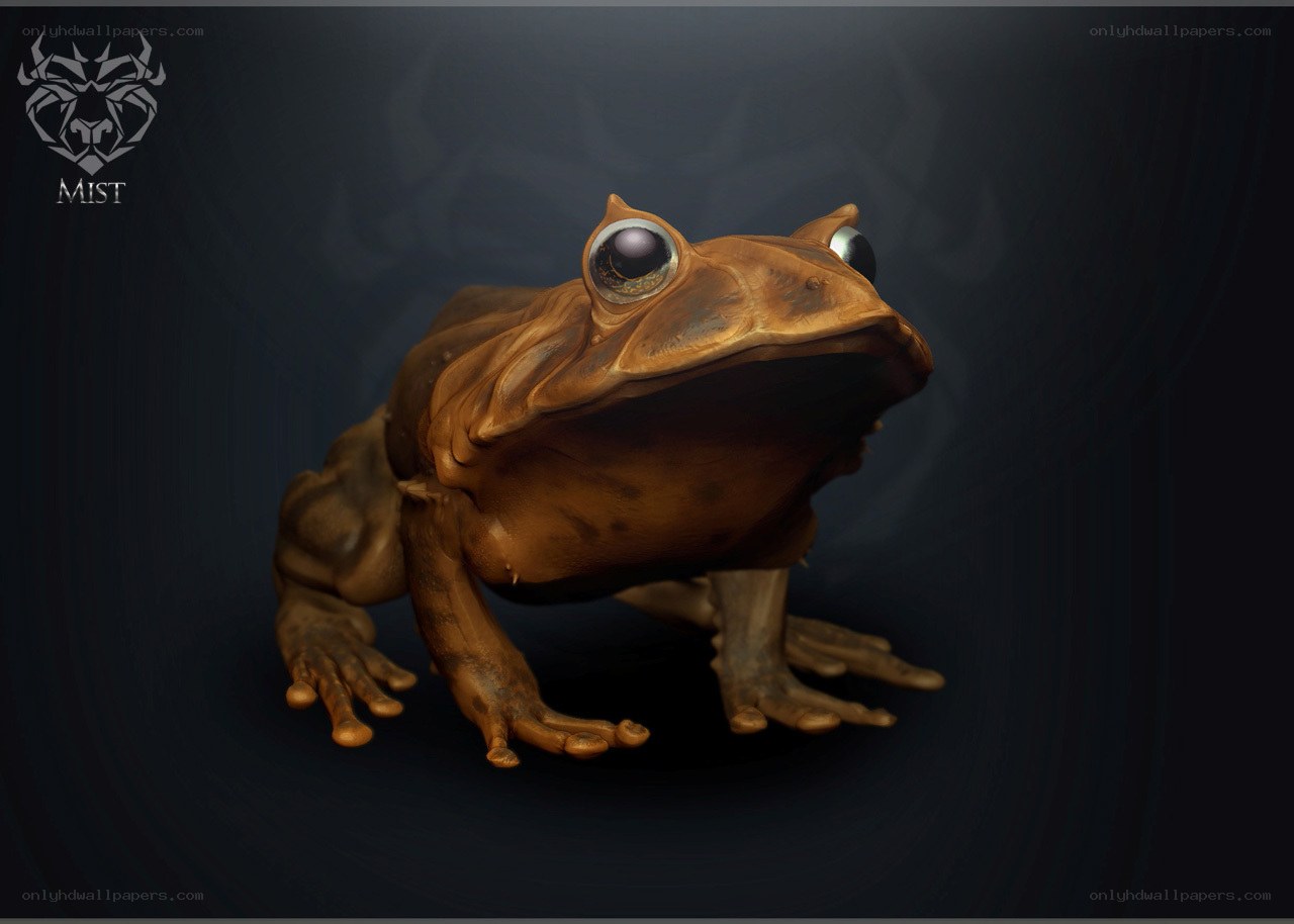 3D frog model in dark setting