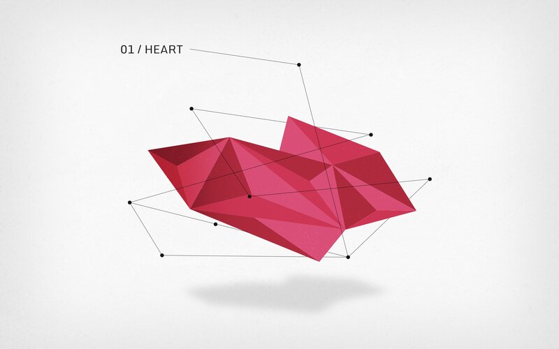 3D heart wireframe model