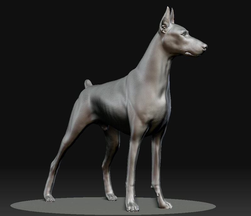 3D model of a Doberman dog