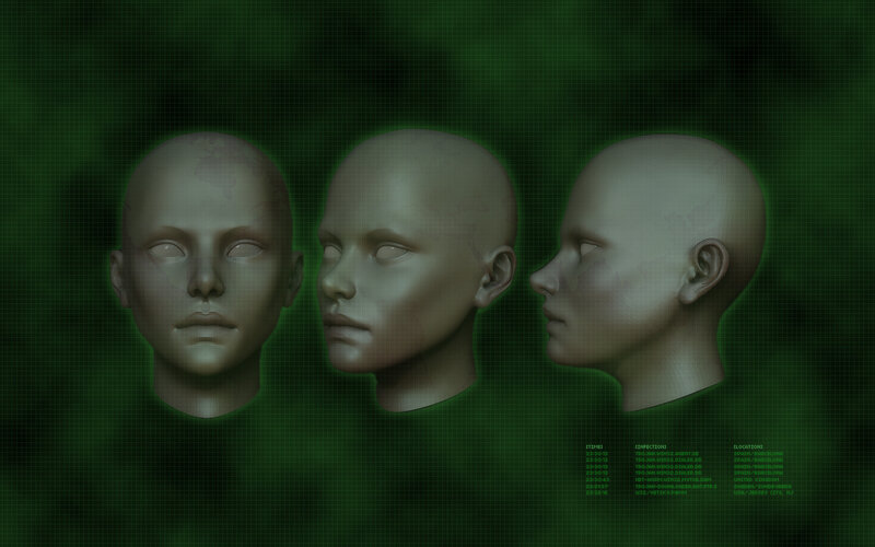 3D model of a human head