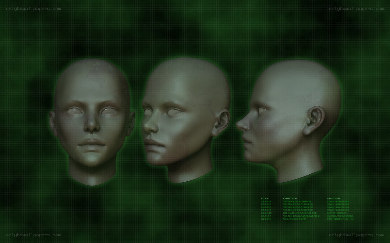3D model of a human head