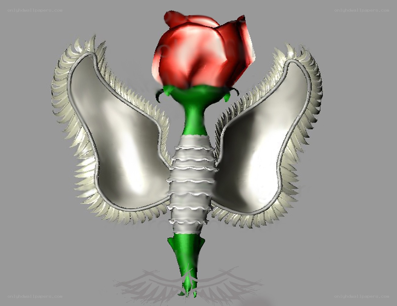 3D model of a rose with wings
