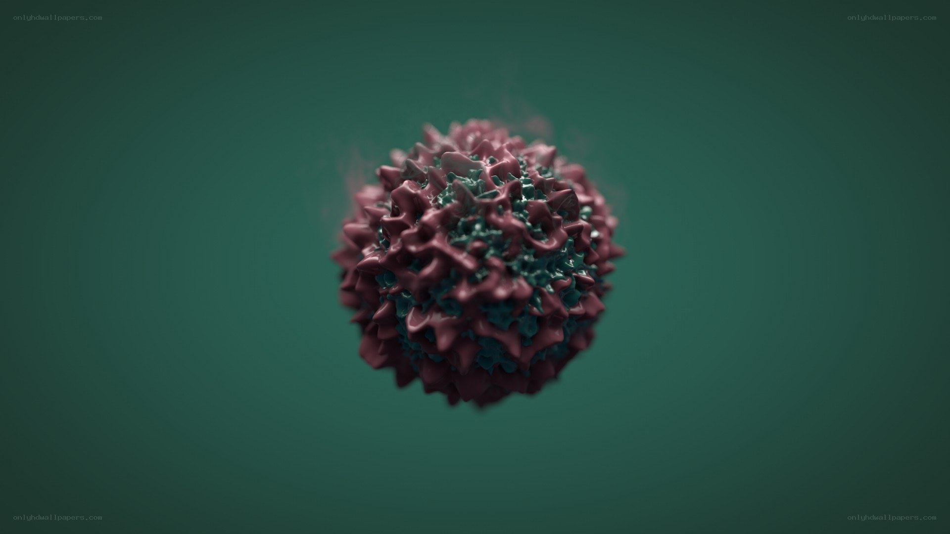 3D model of a virus