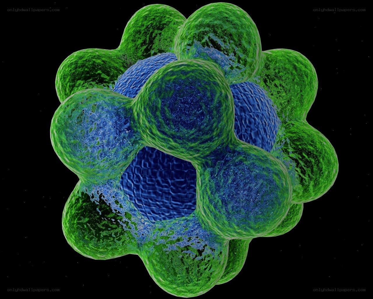 3D model of a virus structure
