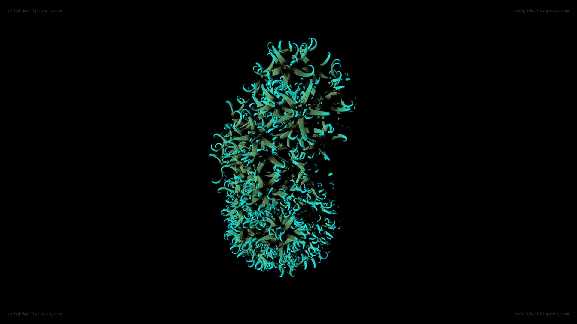 3D model of a virus structure