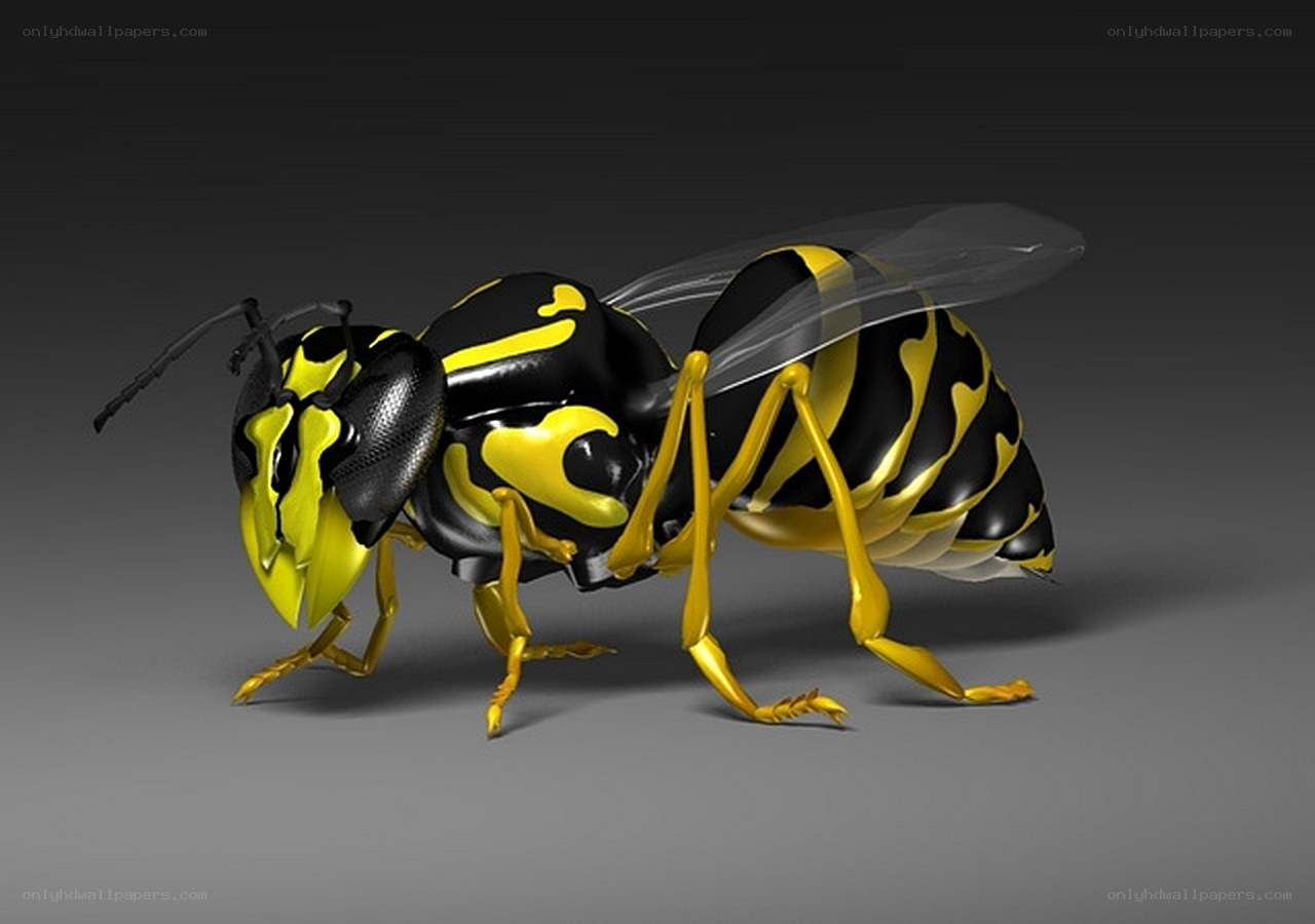 3D model of a wasp