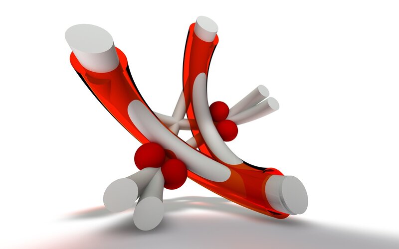 3D model of blood vessels