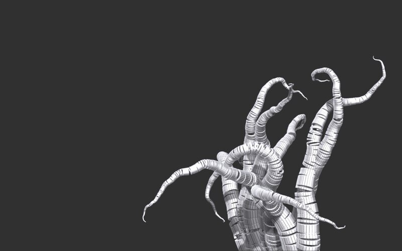 3D model of tentacles