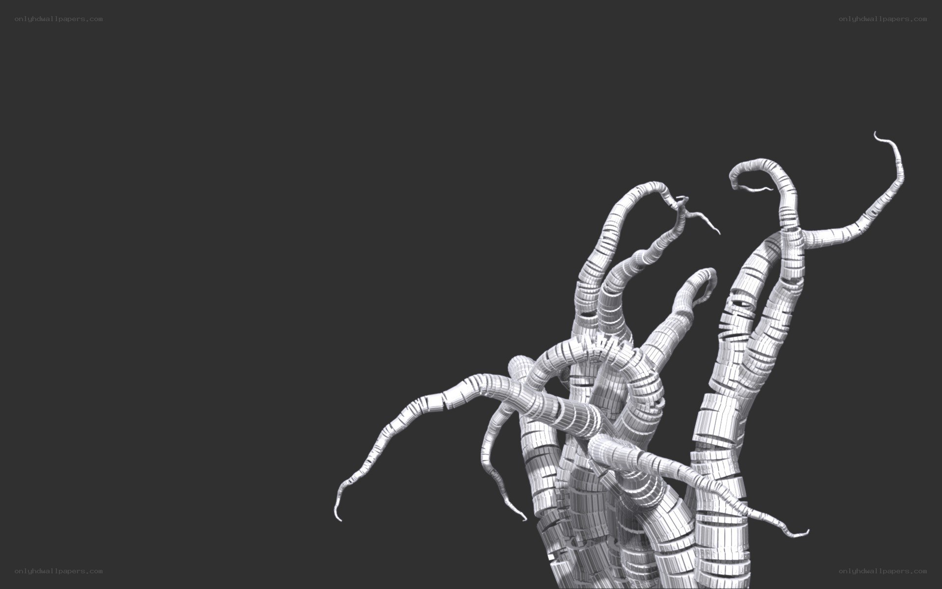3D model of tentacles