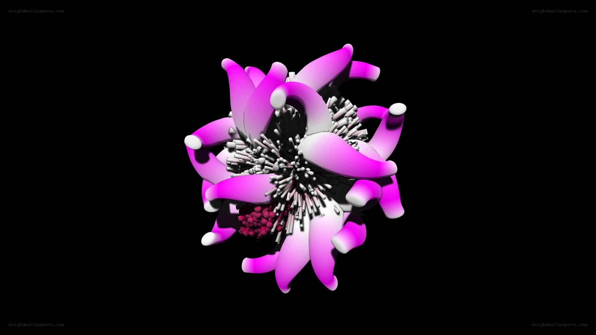 3D purple flower model