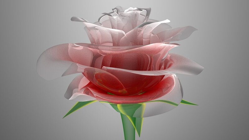 3d Rendered Rose Flower — Red