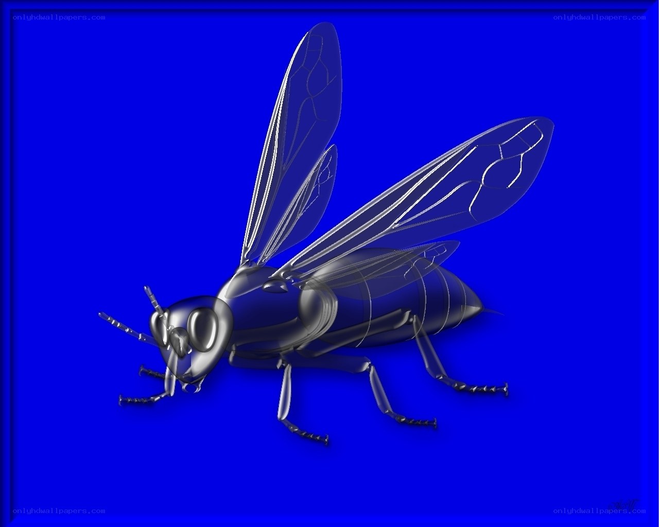 3D rendering of a wasp