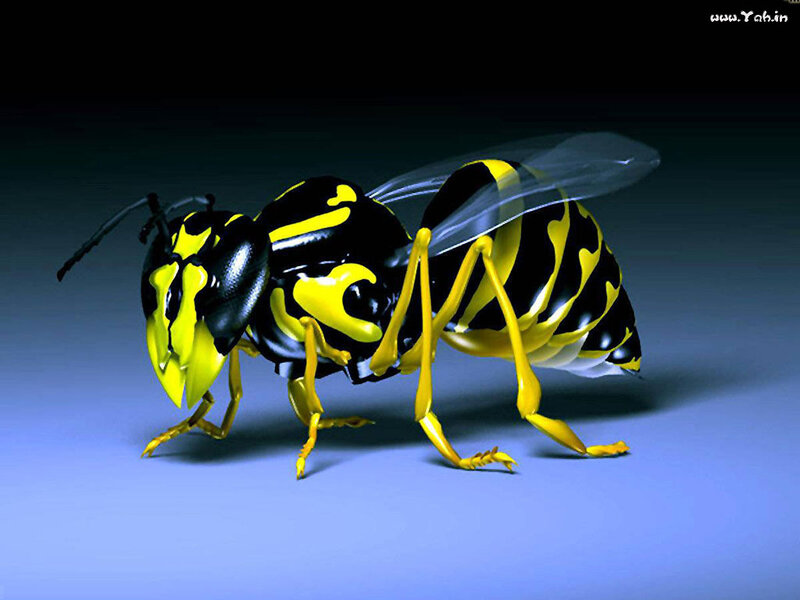 3D rendering of a wasp